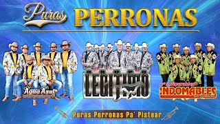 Conjunto Agua Azul vs Grupo Legitimo Los Indomables de Cedral 🎷💥 Mix Norteñas Pesadas Perronas [upl. by Dempster]