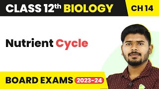 Class 12 Biology Chapter 14  Nutrient Cycle  Ecosystem 202223 [upl. by Hussein]