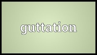 Guttation Meaning [upl. by Akihsal]