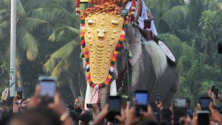 പാർക്കാടി പൂരപ്പറമ്പിലേക്ക് രാമന്റെ രാജകിയ വരവ് venjamaram thechikottukavuramachandran [upl. by Yelak975]