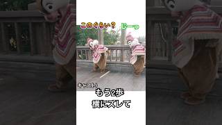 逆光で見えにくい！？ゲストの為に慎重な横移動をするチップとデールキャラグリ [upl. by Hephzibah839]