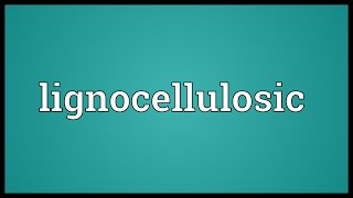 Lignocellulosic Meaning [upl. by Ress]