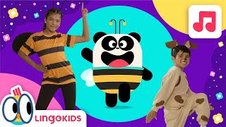 BEES BUZZ CHANT 🐝 🍯 DANCE FOR KIDS  Let’s Dance with Lingokids [upl. by Ainatnas794]