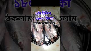 নদীর টাটকা ilish machhilsha fish  hilsha ilishmaach minivlog shorts [upl. by Nayrbo366]