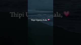 Undi pova nuvvila song lyricstrending song lyrics whatsappstatus undipova [upl. by Lewej]