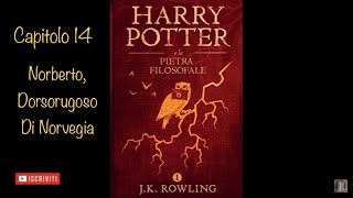 Harry Potter e la Pietra Filosofale audiolibro narrato da Francesco Pannofino  capitolo 14 [upl. by Kelwen]