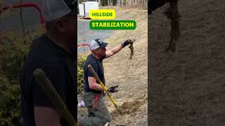 Think Grasses and Green for Hillside Stabilizattion  DIY Landscaping [upl. by Aytida]