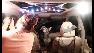 Decorating my Uber for Halloween with my dogs help [upl. by Hardie]