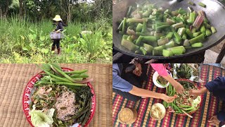 Cooking Limnocharis flava Yellow velvetleaf Isaan Thai style  charcoalstove amp deliciousdish [upl. by Namrak25]