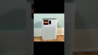 Top 5 Best Air Purifiers 2024 [upl. by Jereme]