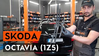 Jak wymienić wycieraczki OCTAVIA 1Z5 PORADNIK AUTODOC [upl. by Nahrut587]