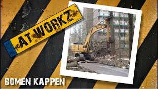 Meerzichtlaan bomen rooienkappen [upl. by Elodie]