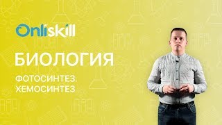 Биология 10 класс  Хемосинтез [upl. by Junie23]