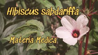 Hibiscus Materia Medica [upl. by Ahsasal]