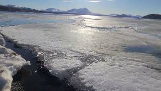 Lake Aleknagik ice chunk 51324 [upl. by Ingraham]