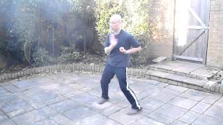 Wing Chun Forms First Form  Siu Lim Tau  Performance Version [upl. by Islek]