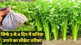 सिर्फ 3 दिन में धनिया उगाने का बिल्कुल नया तरीका 3 din me dhaniya kaise ugaye Coriander in 3 days [upl. by Myrlene]