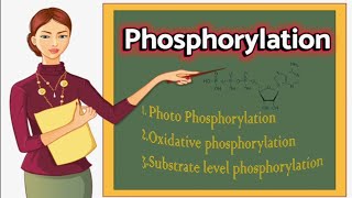 Types of phosphorylation [upl. by Atina371]