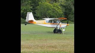 Bellanca Scout  STOL Competition aviationdaily aviationgeek stolaircraft [upl. by Llenaj845]