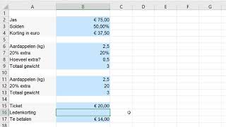 Percentages berekenen in Excel [upl. by Cynara]