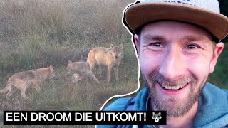 Vlog 311 WOLF VOOR DE CAMERA 🐺🎥  Sony A7 IV [upl. by Enattirb801]