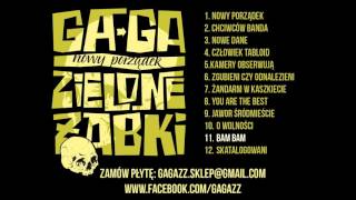 GAGA ZIELONE ŻABKI  BAM BAM [upl. by Brenk]