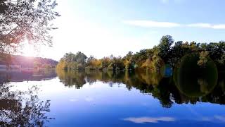 Lac paisible à laube nature chants doiseaux sans musique Sons naturels Paix calme relaxant [upl. by Ecyned]