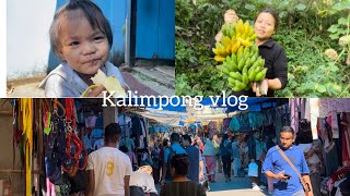 AJU DHERAI DIN KO BAAD MA KALIMPONG KO HAAT BAJAR GUMGAM GARDAI KALIMPONG VLOG Pemanu [upl. by Violette]