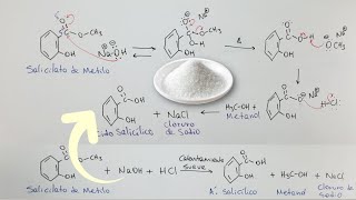 Síntesis del Ácido Salicílico  Mecanismo de Reacción [upl. by Sutphin548]