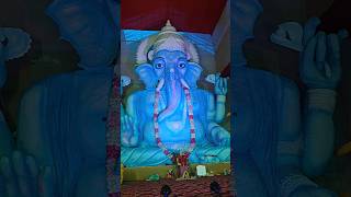 Ayodhya Vinayakudu ganapati bappa morya trending ytshorts ayodhya fest ganesha vizag mvp [upl. by Johnna774]