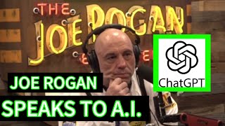 Joe Rogan Talks to AI [upl. by Blisse]