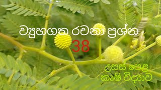 Structured Essay 38  Agricultural Science for Advance Level Examination Sinhala medium [upl. by Rainwater]