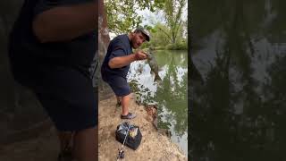 Smallmouth bass fishing gasconade river Missouri ozarks [upl. by Naujud]