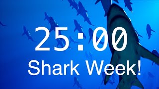 25 Minute Countdown Timer with Alarm  Relaxing Music  Shark Timer [upl. by Bergstein499]