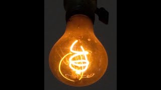 Longest Burning Light Bulb Livermore CA Interview with Dan Dague 22119 [upl. by Catha]