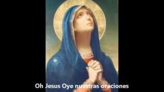 Rosario de nuestra señora de las lagrimas completo y con subtitulos [upl. by Connors]