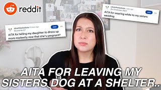 AITA for LEAVING My Sisters Dog At A Shelter YIKES redditstories [upl. by Faustine554]