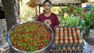 Yummy chili recipe and cooking with country style  Amazing cooking video [upl. by Scales533]