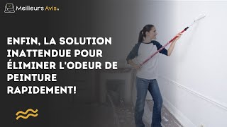 Enfin la solution inattendue pour éliminer l’odeur de peinture rapidement [upl. by Lezley]