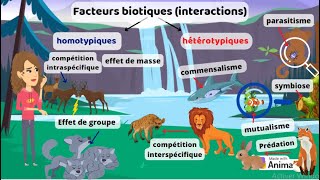 Facteurs biotiques interactions entre les espèces [upl. by Rimahs194]