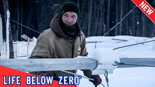 Life Below Zero NEW 2024🔪 Sue Aikens 🔪 Best Hunting Documentaries [upl. by Bollinger]