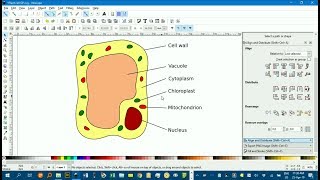 Plant cell diagram [upl. by Ignaz]