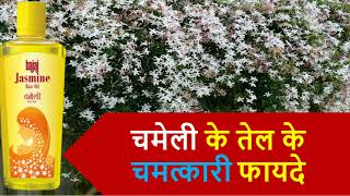 Health amp Beauty Benefits of Chameli Oil  चमेली के तेल से पाएं मसूड़ो के दर्द से छुटकारा  Health [upl. by Revart155]