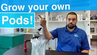 Grow Copepods the easy way  how and why to culture copepods [upl. by Eidoc]