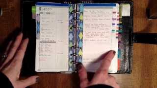 Focus On The Daily Pages DIYFish Lifemapping Inserts [upl. by Euqilegna]