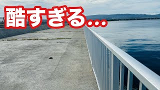 【酷すぎる…】いつもの釣り場が悲惨な事に・・・こんな酷いのは初めてです【ショアジギング飲ませ釣り】 [upl. by Azerila]