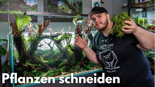 Pflanzen schneiden im Wald Diorama Aquarium [upl. by Polik]