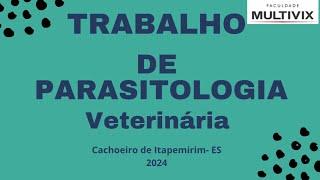 Trabalho de parasitologia veterinária Dirofilaria immitis 4º periódo 2024 [upl. by Putscher286]