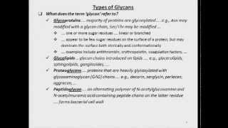 Role of Glycans in Physiology and Disease [upl. by Eyak]