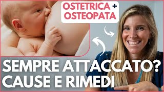 NEONATO SEMPRE ATTACCATO AL SENO DELLA MAMMA  CAUSE E RIMEDI  Ostetrica e Osteopata pediatrico [upl. by Attenoj883]